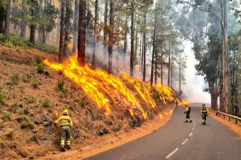 CLAVIJO: Please do NOT try and access areas of fire to take photos 