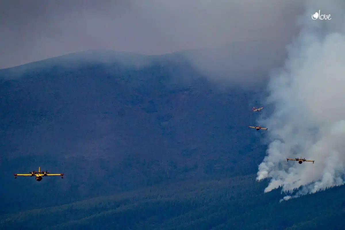 SUNDAY PM: The rise in temperatures and the wind have reactivated several fires
