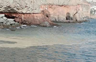 The mayor confirms the presence of microalgae on the Mogan coast