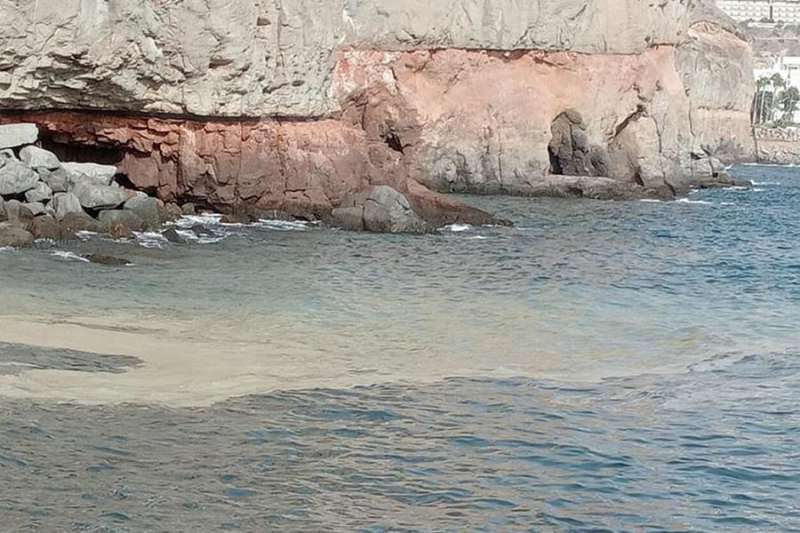 The mayor confirms the presence of microalgae on the Mogan coast