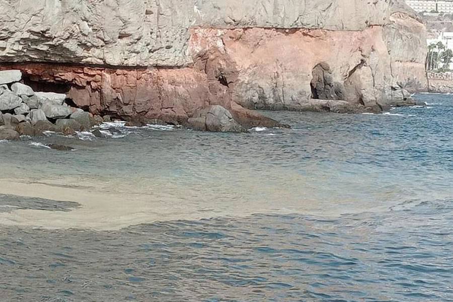 The mayor confirms the presence of microalgae on the Mogan coast