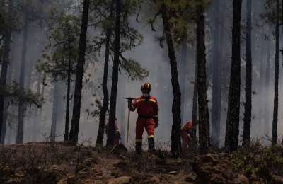 LATEST: The forest fire in Tenerife is considered to be stabilized