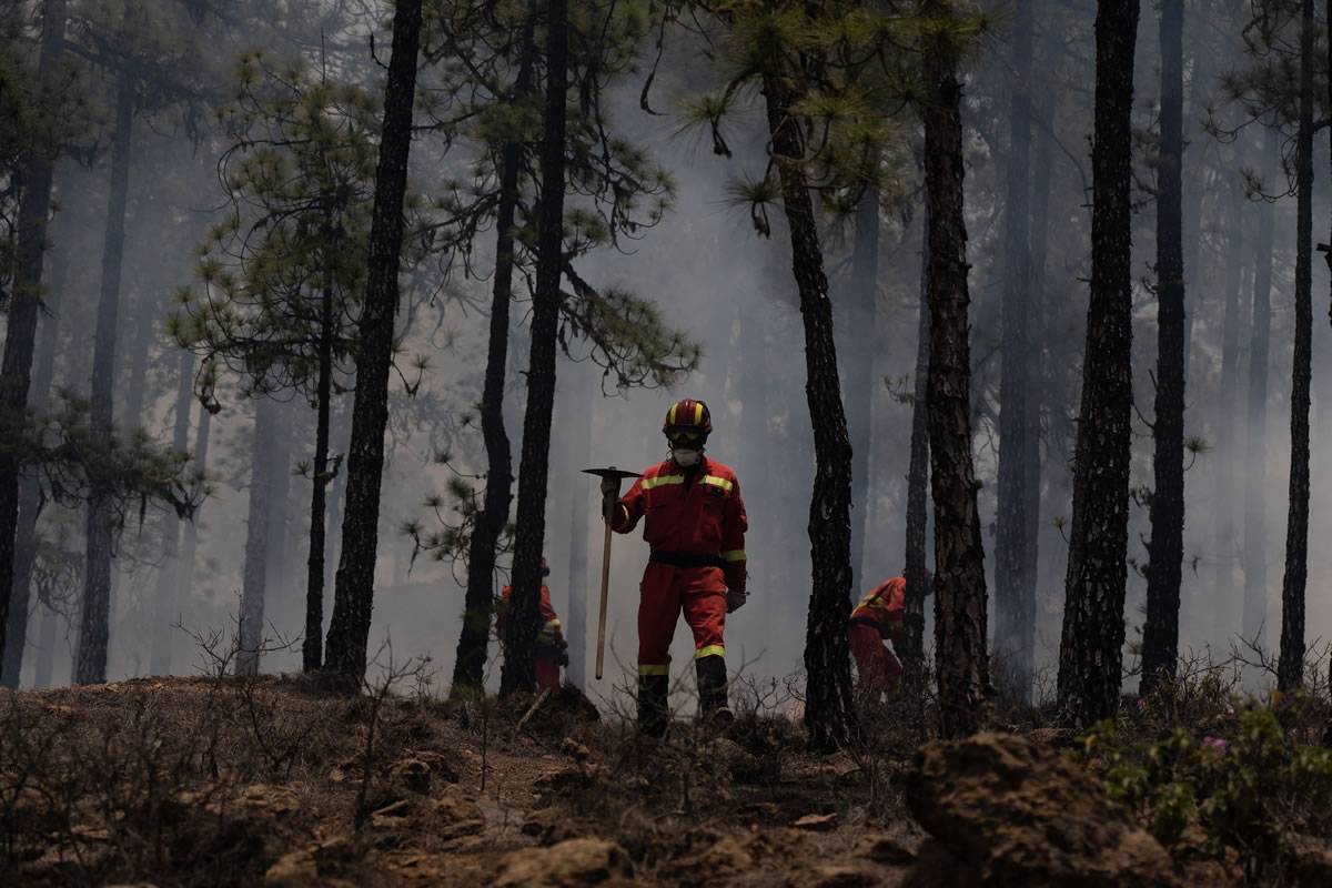 LATEST: The forest fire in Tenerife is considered to be stabilized