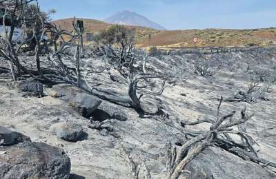 The fire hasn’t advanced a single metre in the last 48 hours