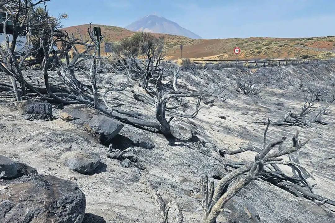 The fire hasn’t advanced a single metre in the last 48 hours