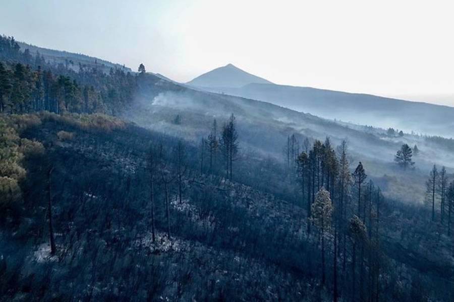 The Tenerife Fire remains stabilized and drops to a Level 1 emergency