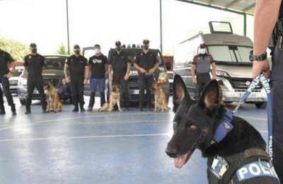Police dogs help arrest two drug dealers in the south of Tenerife