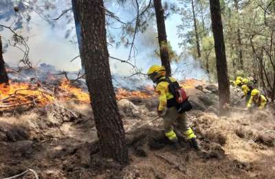 100 firefighters are still working to put out areas of the Tenerife fire