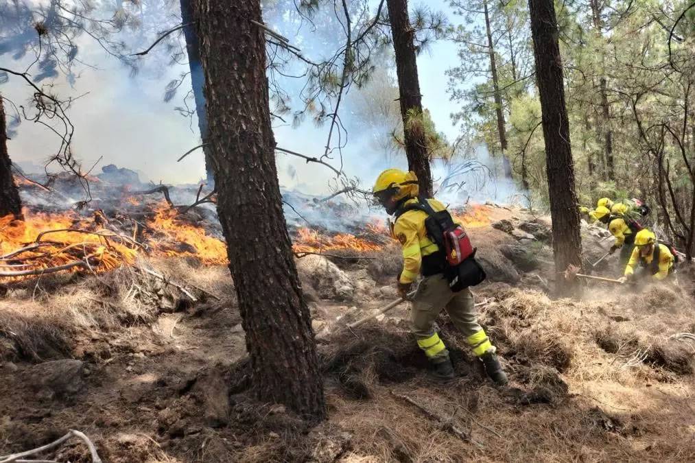 100 firefighters are still working to put out areas of the Tenerife fire