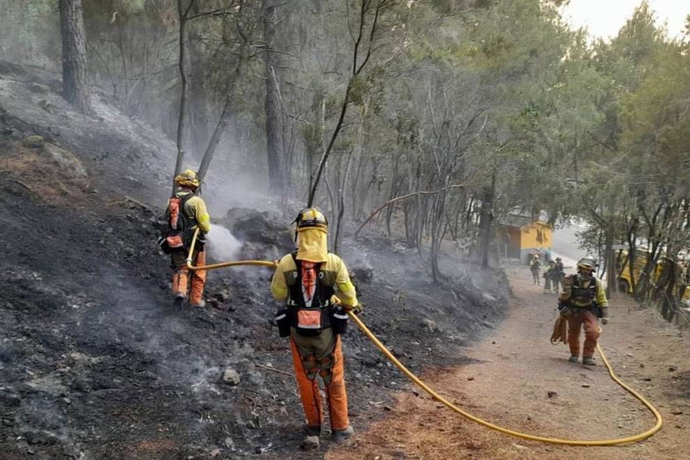 Tenerife forest fire is finally declared to be ‘under control’