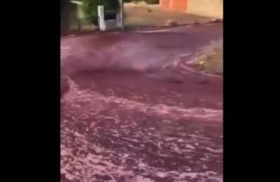 VIDEO: A river of red wine 'floods' a Portuguese town