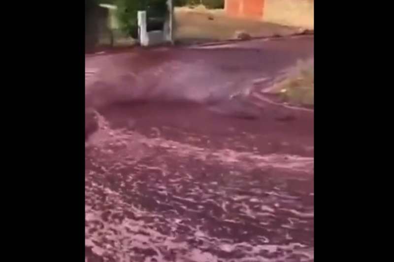 VIDEO: A river of red wine 'floods' a Portuguese town