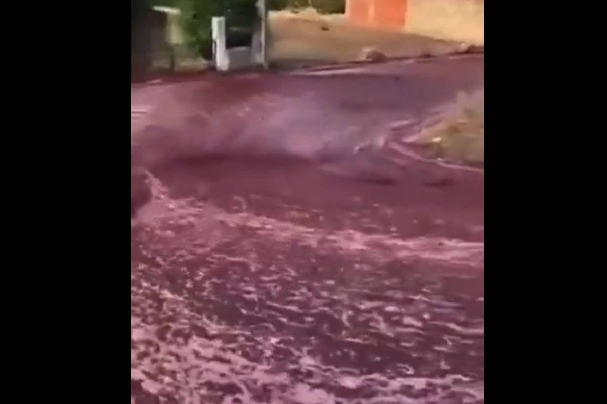 VIDEO: A river of red wine 'floods' a Portuguese town