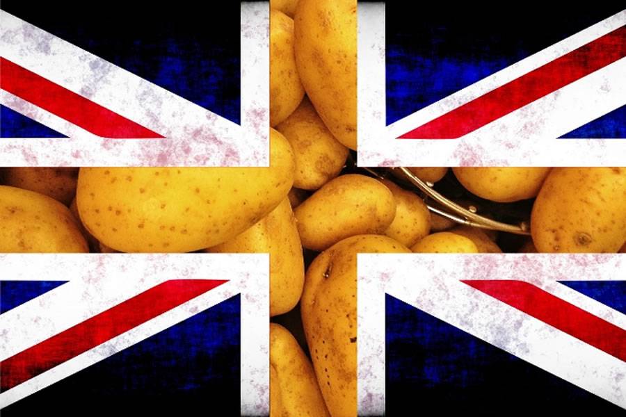 LATEST: Spain authorizes potato imports from UK to the Canary Islands