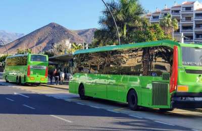 Cabildo makes it easier to get a free bus pass to encourage use of Public Transport