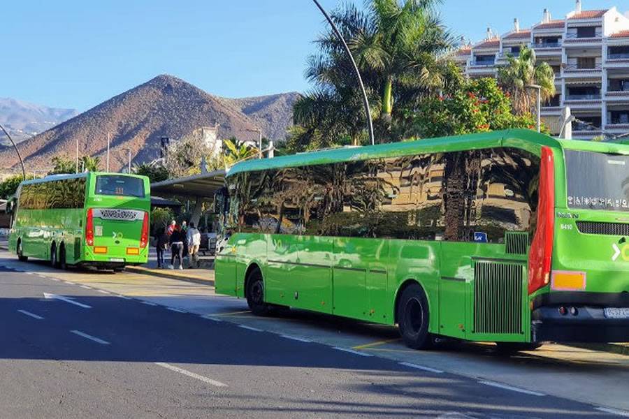 Cabildo makes it easier to get a free bus pass to encourage use of Public Transport