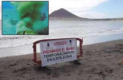 Five discharge points to be closed in the south of Tenerife to stop water contamination