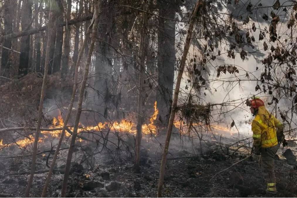 Tenerife fire remains at Level 2 Alert due to subsoil fire and reactivations