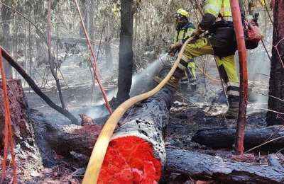 The forest fire in Tenerife continues to burn two months after it started