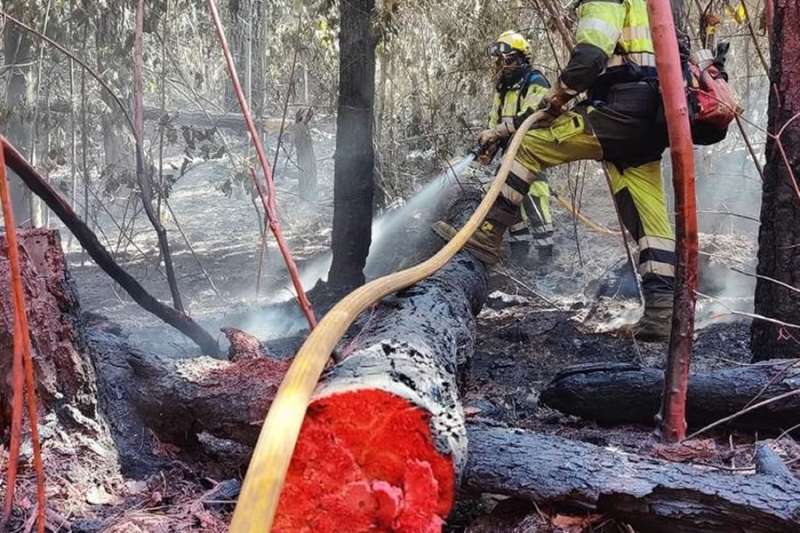 The forest fire in Tenerife continues to burn two months after it started
