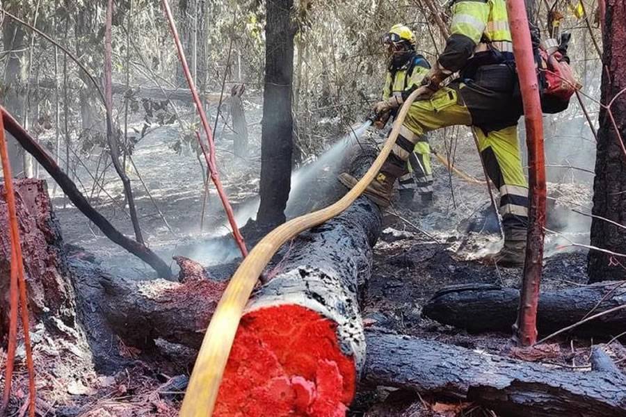 The forest fire in Tenerife continues to burn two months after it started