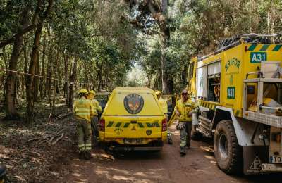 The arrival of rain in the hills of Tenerife helps firefighters in the forests