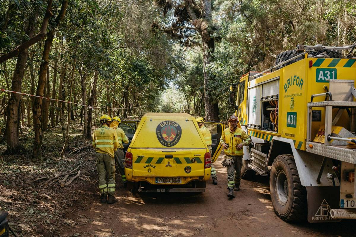 The arrival of rain in the hills of Tenerife helps firefighters in the forests