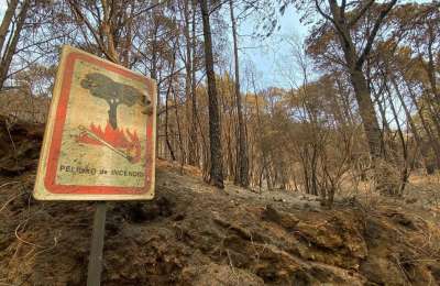 GOOD NEWS: The Tenerife fire is lowered to a Level Zero emergency