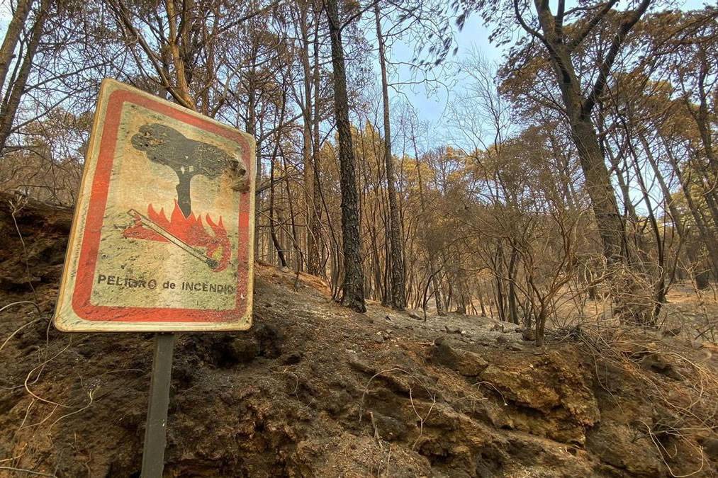 GOOD NEWS: The Tenerife fire is lowered to a Level Zero emergency