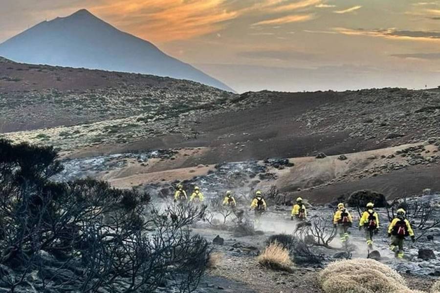 The Tenerife Cabildo starts restoration work at Teide after the fire