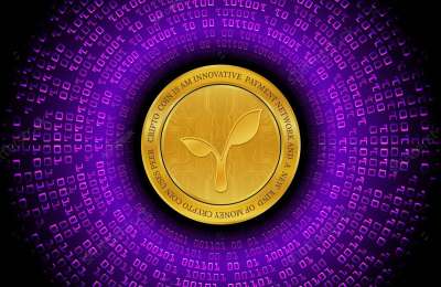 Shifting Paradigms: Bitcoin Meets the Radicle (RAD) Network