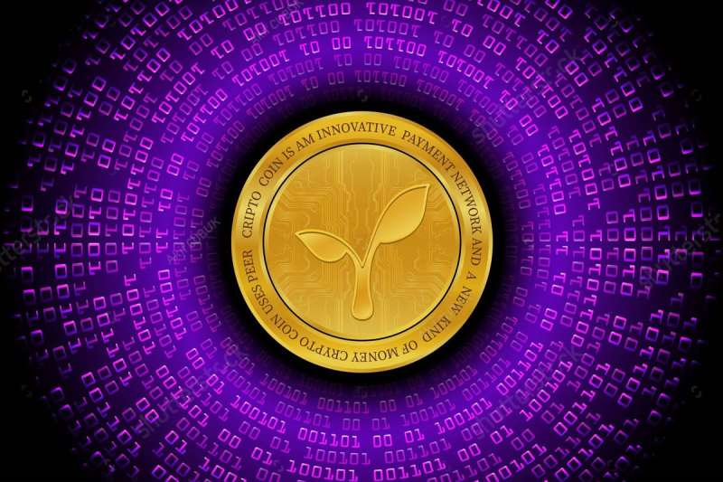 Shifting Paradigms: Bitcoin Meets the Radicle (RAD) Network
