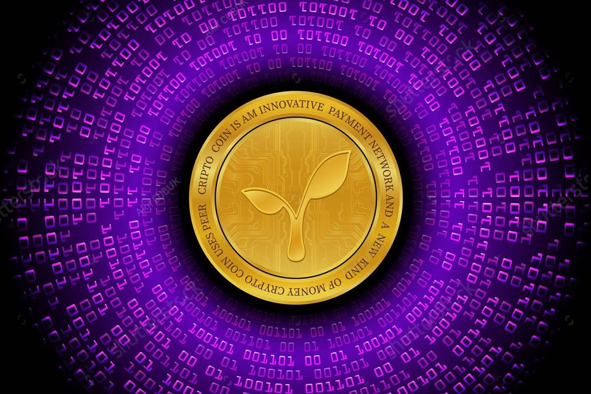 Shifting Paradigms: Bitcoin Meets the Radicle (RAD) Network