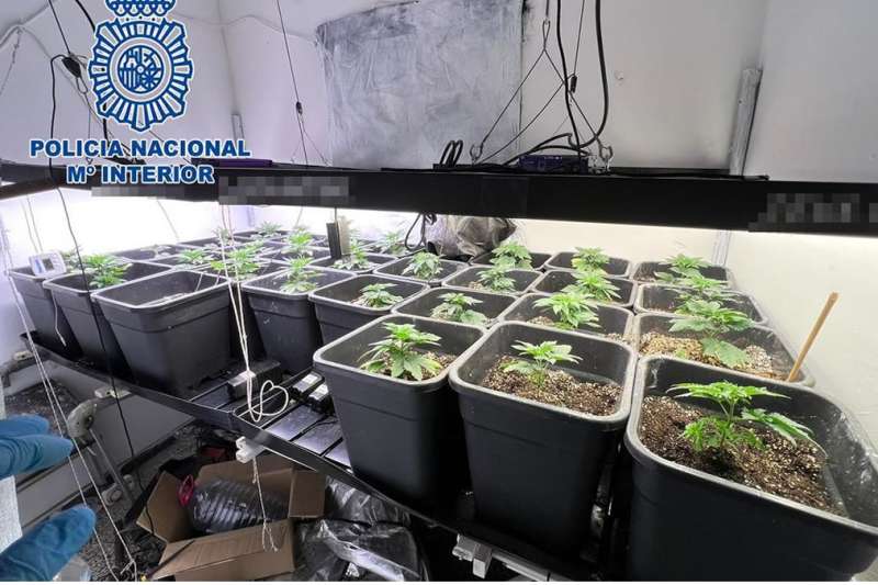 Man tries to jump out of a window to evade police in the south of Tenerife
