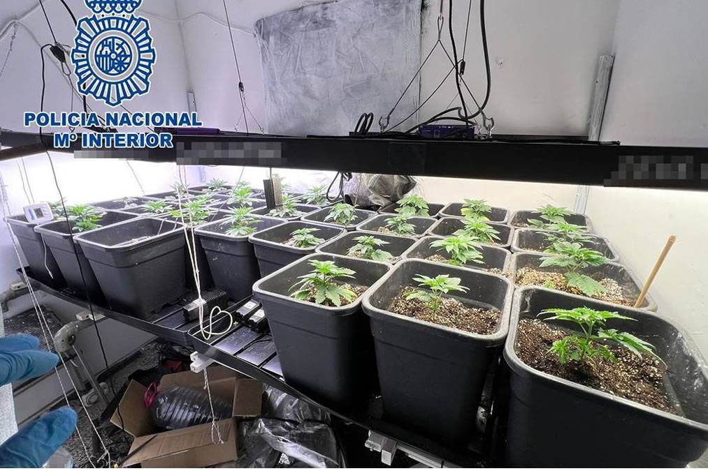 Man tries to jump out of a window to evade police in the south of Tenerife