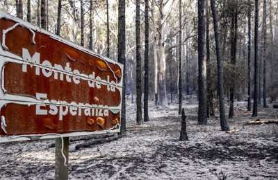 The Tenerife forest fire is officially declared as fully extinguished 