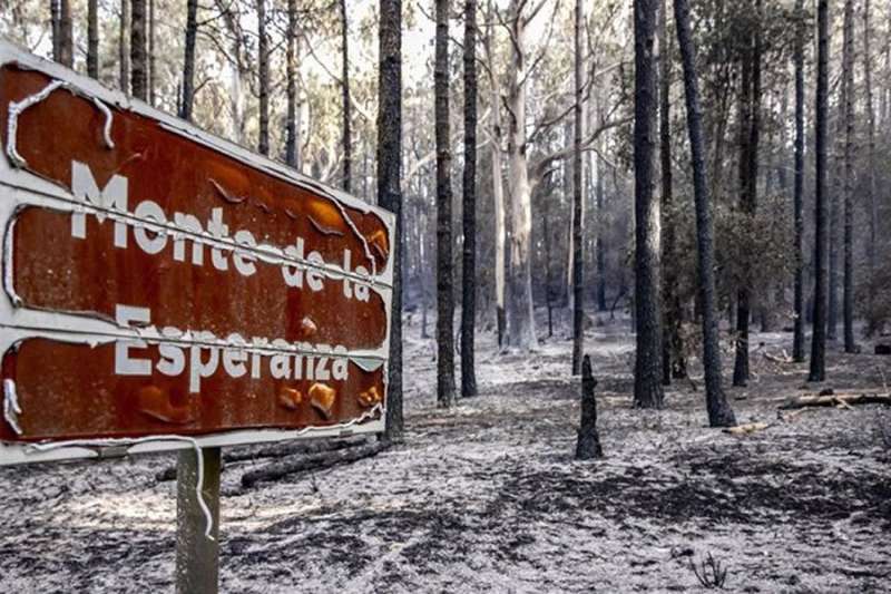 The Tenerife forest fire is officially declared as fully extinguished 