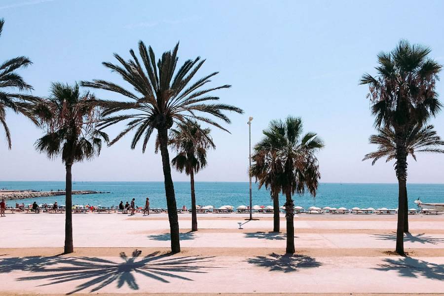 Top 20 best places to visit in Barcelona