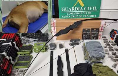 Man arrested in Tenerife for shooting and killing a pregnant dog with a crossbow
