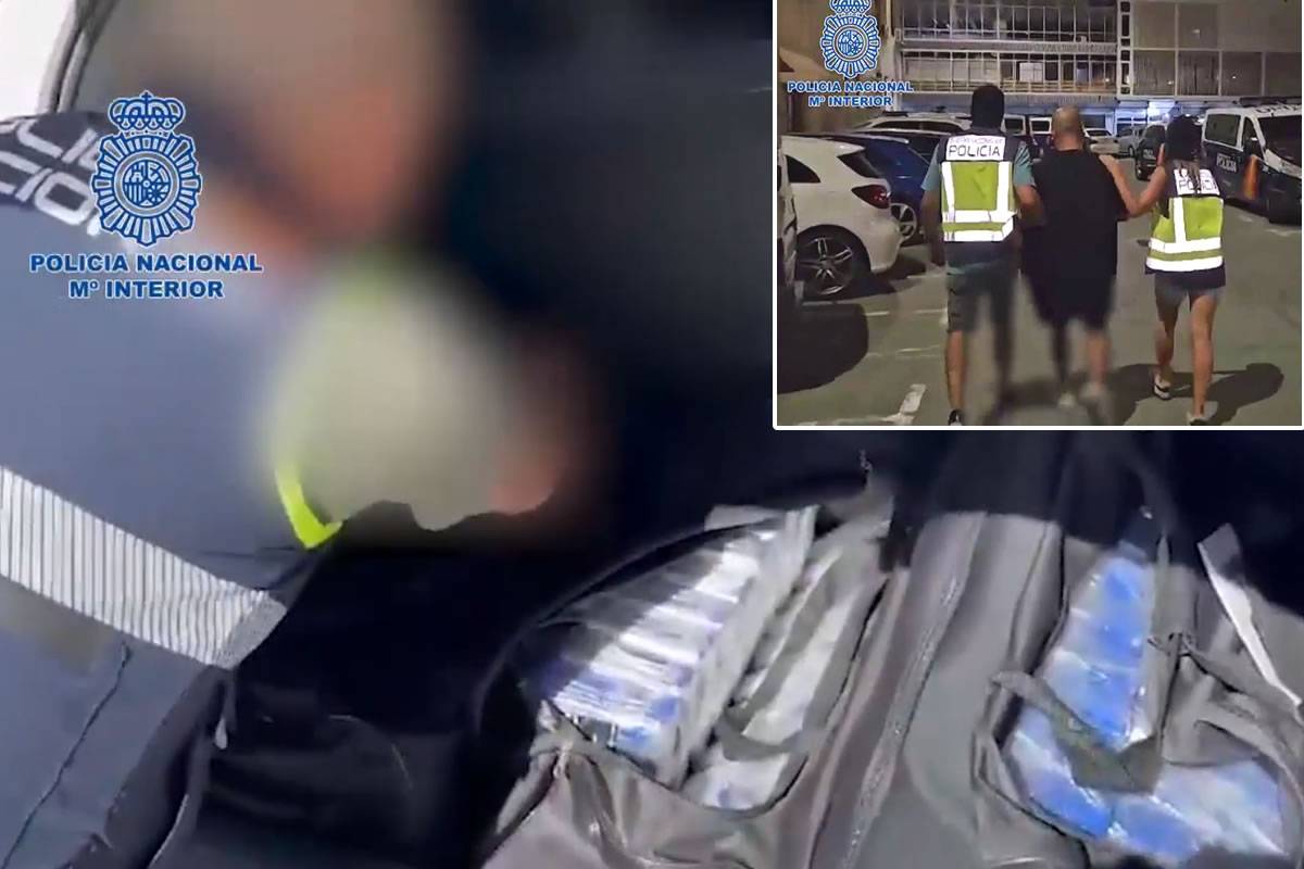 VIDEO: National Police seize a ton of cocaine in a luxury villa in Tenerife 