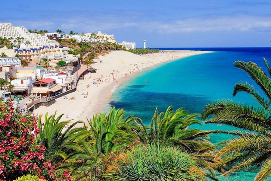 Gaming Under the Canary Sun: How to Seamlessly Combine Travel and Play 