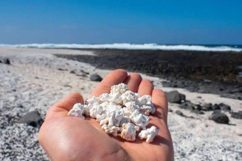 Up to €3,000 fines for tourists taking home sand and stones from Canaries beaches