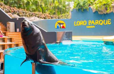 Loro Parque and Siam Park are the most visited attractions by tourists in 2023