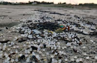 Government activates pre-alert in Tenerife due to the presence of plastic pellets