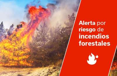 Unusual situation in the Canary Islands: Pre-alert for forest Fires in January