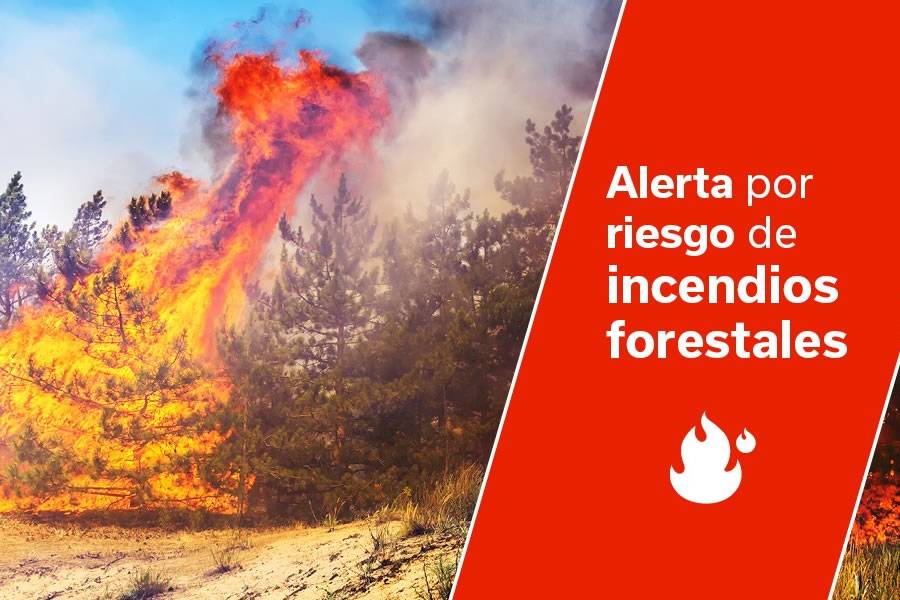 Unusual situation in the Canary Islands: Pre-alert for forest Fires in January