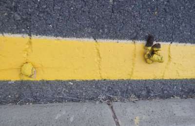 Nothing gets in the way of yellow line painters in Tenerife!