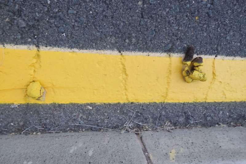 Nothing gets in the way of yellow line painters in Tenerife!