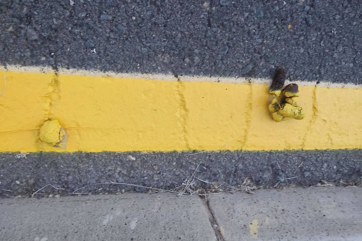 Nothing gets in the way of yellow line painters in Tenerife!