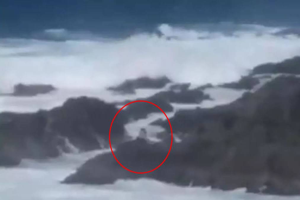 VIDEO: Police remove two tourists from rocks as they endangered their lives for a selfie
